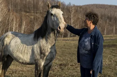 Истоки культа коня среди казахов