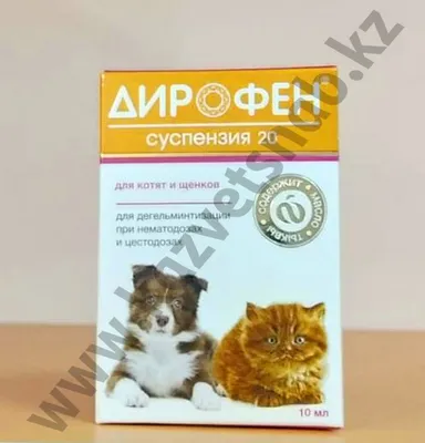 Гипоаллергенный шампунь - бальзам с алоэ вера для котят и щенков Wellroom -  купить с доставкой по выгодным ценам в интернет-магазине OZON (241162352)