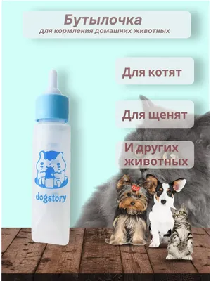 Рисунки супер очаровательных котят и щенков - YouLoveIt.ru