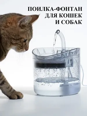 Спрей для кошек и собак Dr.Petzer приучение к туалету 150мл купить по цене  156 ₽ с доставкой в Москве и России, отзывы, фото