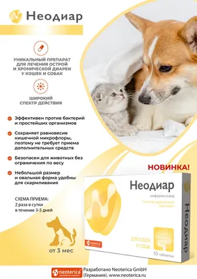 Анотен порошок против стресса для кошек и собак 16 пакетиков*5гр - купить в  Новосибирске по цене от 438 рублей в интернет-магазине Мокрый Нос с  доставкой