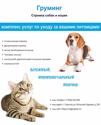 FIPROMAX PRO антигельметик для котов и собак, 10 табл.