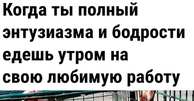 Картинки по запросу стишок я люблю свою работу | Юмор о работе, Смешно,  Юмористические цитаты