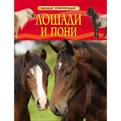 Мини-лошадь — Википедия
