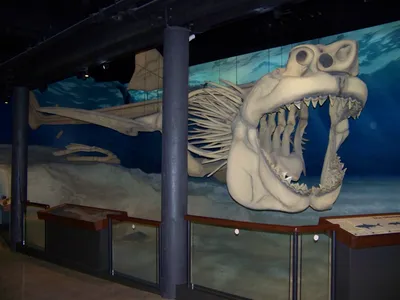 Большая фигурка акула мегалодон 27 см. купить в интернет-магазине Джей Той