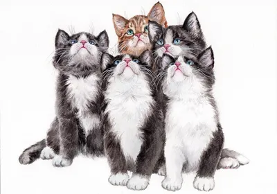 Много милых котят» картина Матюниной Ольги (бумага, акварель) — купить на  ArtNow.ru