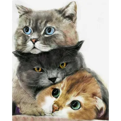 Картина Picsis 6 милых котят 660x430x40 мм 3639-9807274 - выгодная цена,  отзывы, характеристики, фото - купить в Москве и РФ