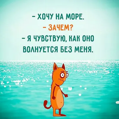 Хочу на море ... | Смешные кошки, Кошки, Смешной юмор