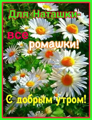 Наташке приснился странный сон. Будто ее позвали на танцы в деревенский  клуб, а привели – в старую церковь с мозаиками, со свечами в… | Instagram