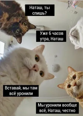 Картинки про наташу