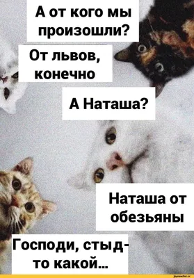 Эх, Наташа... | Пикабу