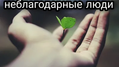 Статусы про неблагодарных людей - 📝 Афоризмо.ru