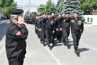 В Сети заявили, что в Волгограде ОМОН разогнал концерт скандальных рэперов