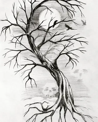 человек рисует ручкой дерево осенних цветов, как нарисовать осень, как,  концепция фон картинки и Фото для бесплатной загрузки