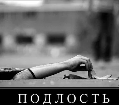 Колыма не принимает людей подлых, не принимает предателей», — губернатор  Магадана отреагировал на предложение Володина.. | ВКонтакте