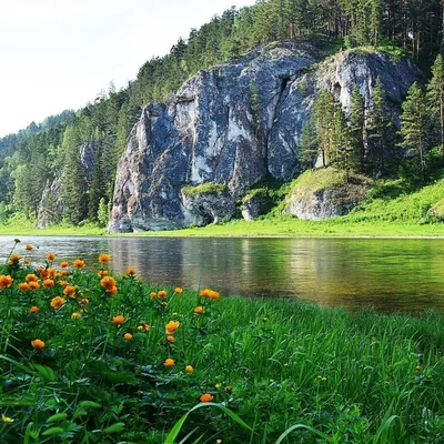 Красивая природа России | Василий | Дзен
