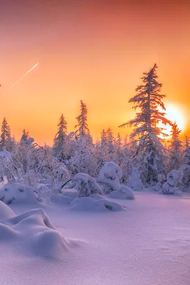 Зима Природа На Открытом Воздухе - Бесплатное фото на Pixabay - Pixabay