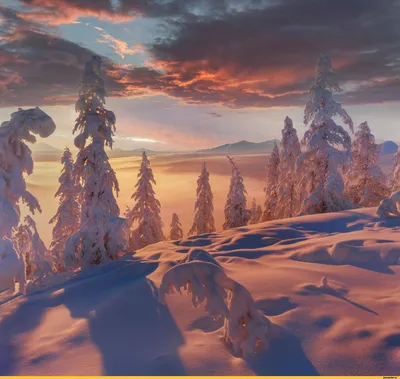 Зима#горы #деревья #снег | Пейзажи, Живопись, Зима