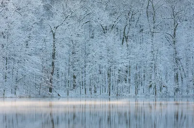 🫵❤ природа ,зима в России, …» — создано в Шедевруме