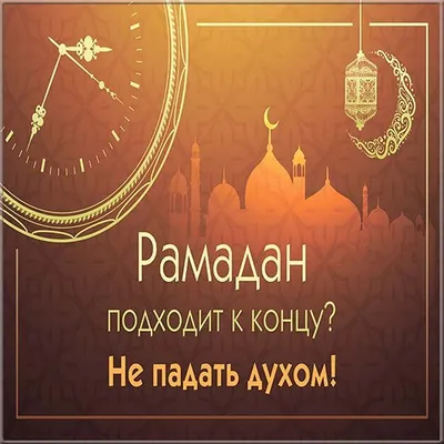 Рамадан – месяц Корана | islam.ru