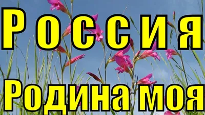 Иллюстрация 1 из 23 для Россия - Родина моя. Народы России - Т. Цветкова |  Лабиринт - книги. Источник: