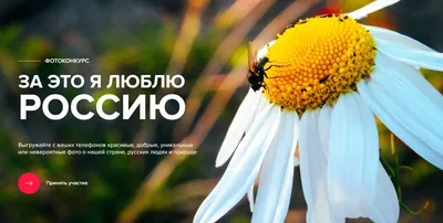 Уникальный проект про нашу Родину: Всероссийский фотоконкурс «За это я  люблю Россию» | Upinfo