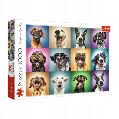 Картина на холсте Смешная собака забавный пёс животные (10) 40х60 см -  купить по низкой цене в интернет-магазине OZON (1165581865)