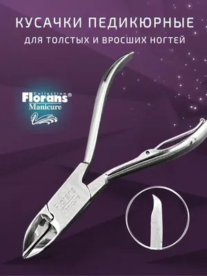 семья толстых тучных людей, стоящих вместе держаться фигура пиктограммы  иконы. Иллюстрация вектора - иллюстрации насчитывающей малыши, дочь:  219018942