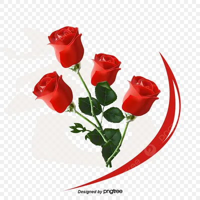 Rose flower pictures, Beautiful roses, Love rose flower, Beautiful flowers  wallpapers, AI Generated 22257317 Stock Photo at Vecteezy