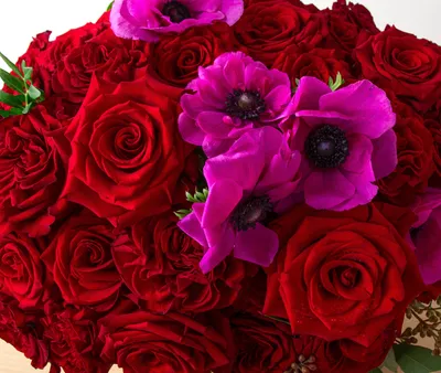List of Romantic flowers for Valentine's Day that can express love – May  Flower