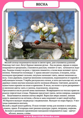 Какая будет весна в Башкирии и в целом в России в 2023 году: прогнозы