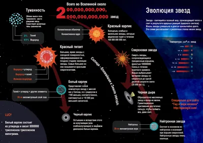Время чудес: как летнее солнцестояние 21 июня перевернет жизнь каждого  знака зодиака - 7Дней.ру