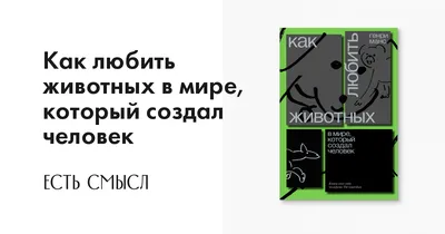 Умный Мышонок. Книга для Детей со Смыслом: Amazon.co.uk: Pankey, Elena,  Bulat, Elena: 9781952907388: Books