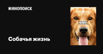 Сказки для детей из серии \"Истории со смыслом\" комплект книг внеклассное  чтение | Гурина Ирина Валерьевна - купить с доставкой по выгодным ценам в  интернет-магазине OZON (825326211)