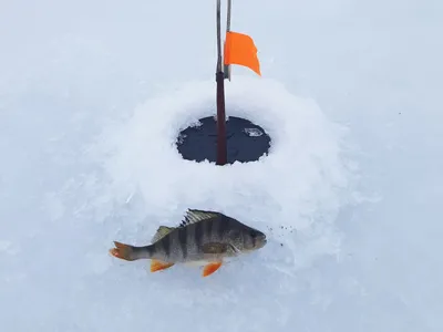 Зимняя рыбалка открыта!