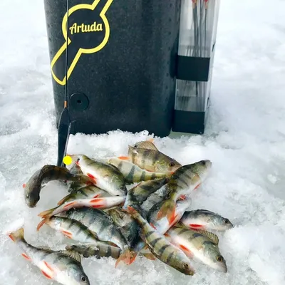 Зимняя рыбалка на Митинке