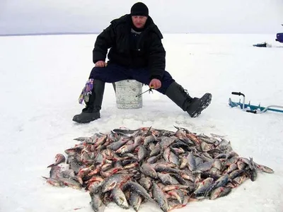 Зимняя рыбалка. Плюсы и минусы.