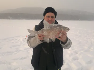 На зимнюю рыбалку за рекордным уловом на водохранилище Локтыши! |  Ганцавіцкі час