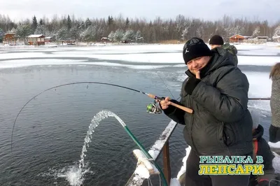 Что почитать про зимнюю рыбалку: подборка интересных и полезных статей про  зимнюю ловлю | Рыбалка для души | Дзен