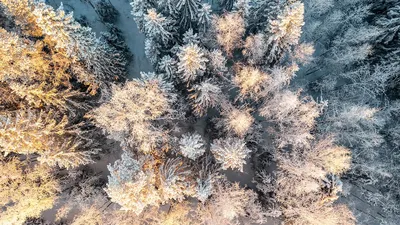 10 причин любить зиму - Интересно - Статьи - Сетевое издание «ПокачиИнформ»