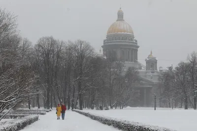 Встречаем зиму: какая погода будет в Тверской области с 27 ноября по 3  декабря | официальный сайт «Тверские ведомости»