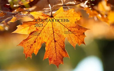 Пейзаж маслом \"Золотая осень в горах\" 50x60 AS211001 купить в Москве