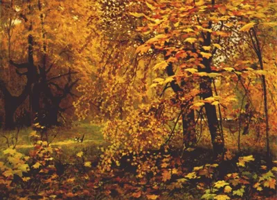 Зачем нужна золотая осень и что она означает | Анна Кирьянова. Философия  Жизни. | Дзен