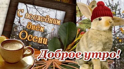 С окончанием Осени и с наступлением Зимы! До свиданья, сказка Осень!  Здравствуй Зимушка-Зима! - YouTube