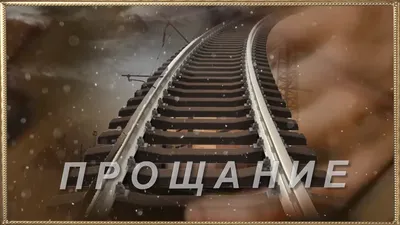 Любовь и смерть в живой природе. Брачные игры животных, обряды прощания и  другие причуды биологии – Книжный интернет-магазин Kniga.lv Polaris