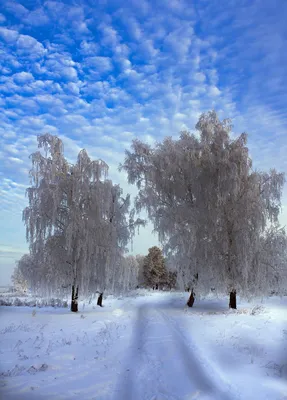 Картинки прощание с зимой фотографии