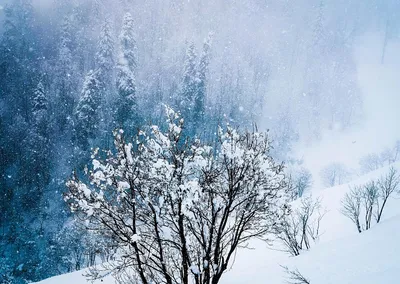 Весной сосульки. Слезы прощания с зимой Стоковое Фото - изображение  насчитывающей земля, льдед: 174201932