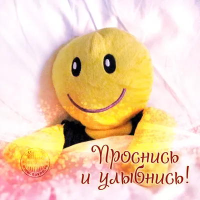 Проснись и улыбнись! — Скачайте на Davno.ru
