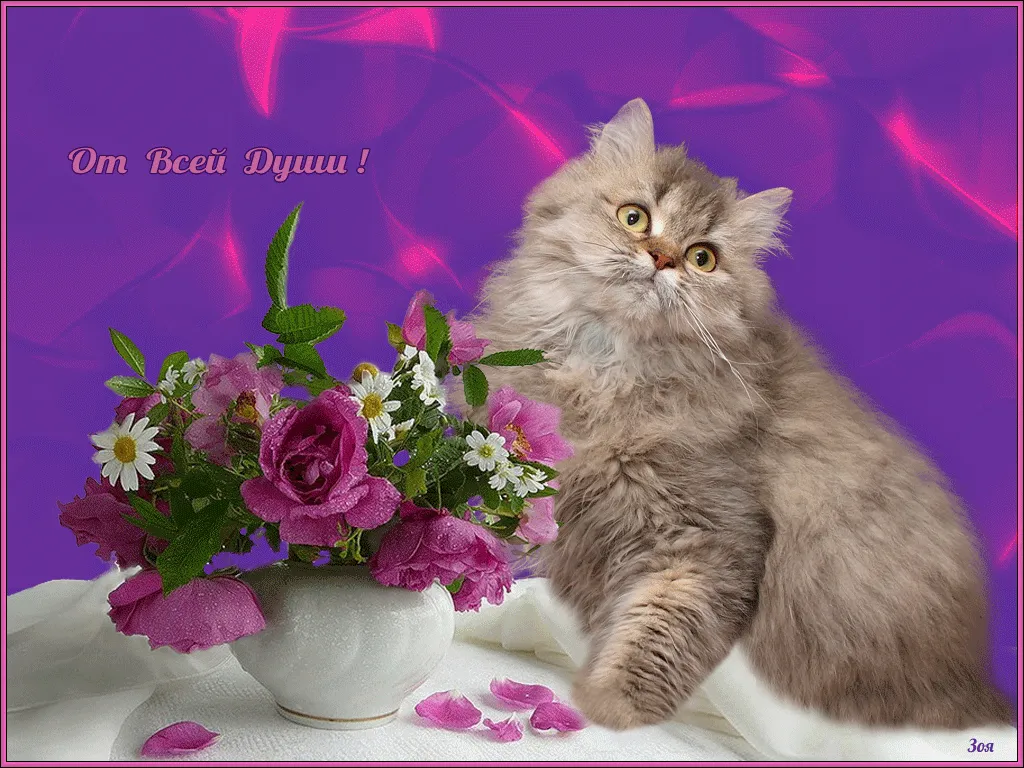 Поздравок от души. Кот с цветами открытка. Открытка "кот". Открытка с днём рождения с котятами. Открытки с котятами и цветами.