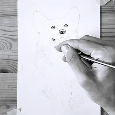 10 уроков рисования простым карандашом